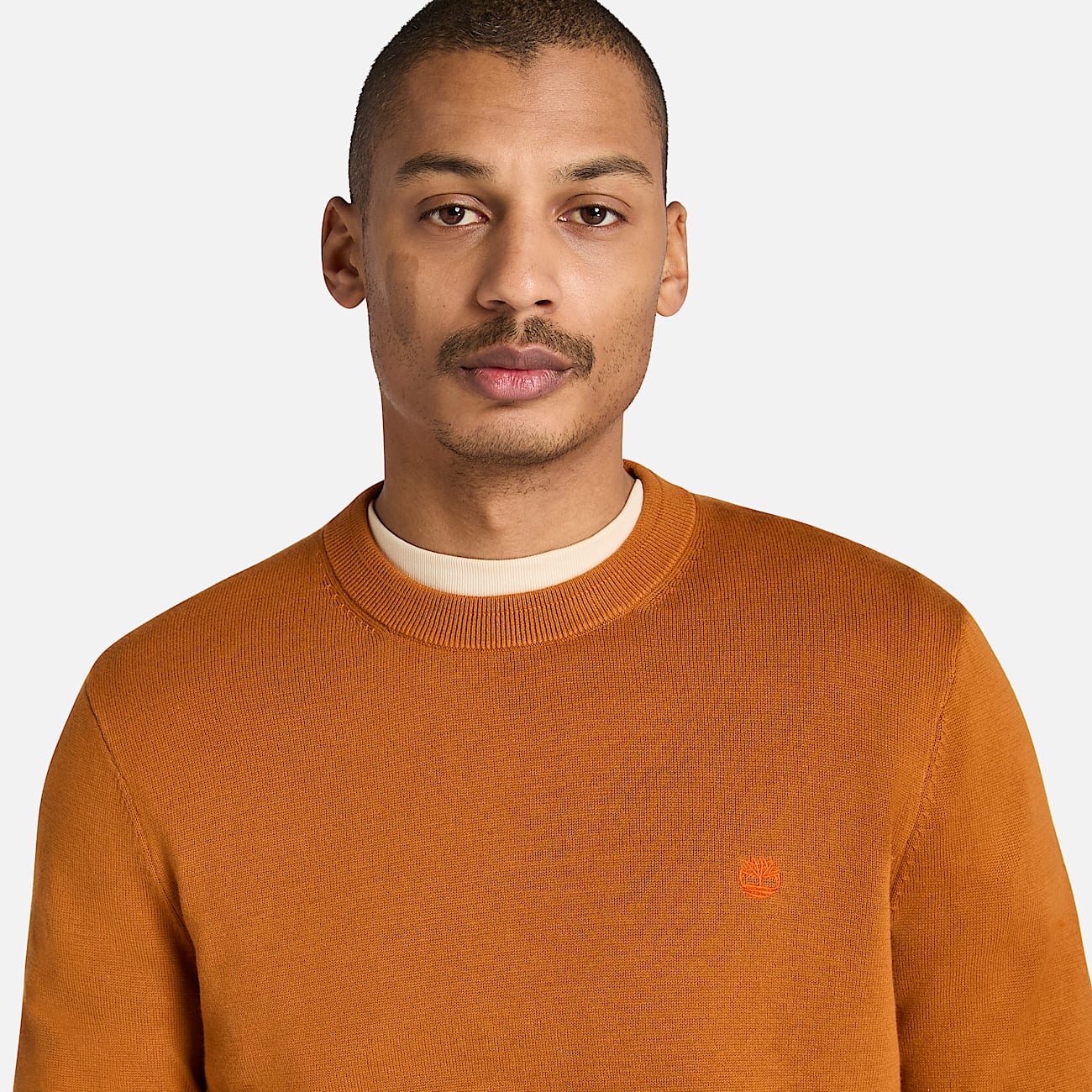 Williams River Cotton Jumper for Men in Brown TBL Brown ALT3