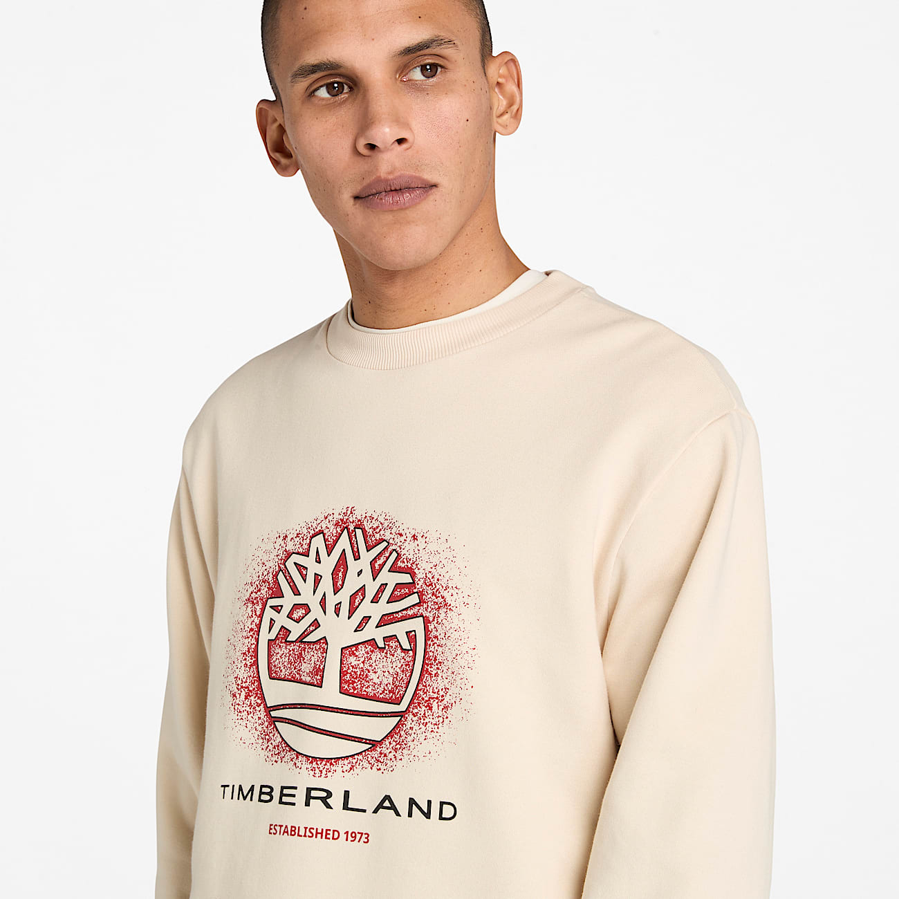 Camisola de Gola Redonda com Grfico Sazonal para Homem em bege TBL bege ALT3