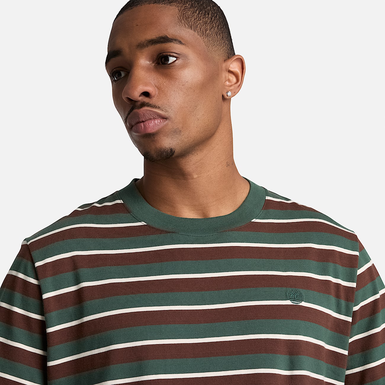 Stripe ShortSleeve TShirt for Men in Dark Green TBL Green ALT3