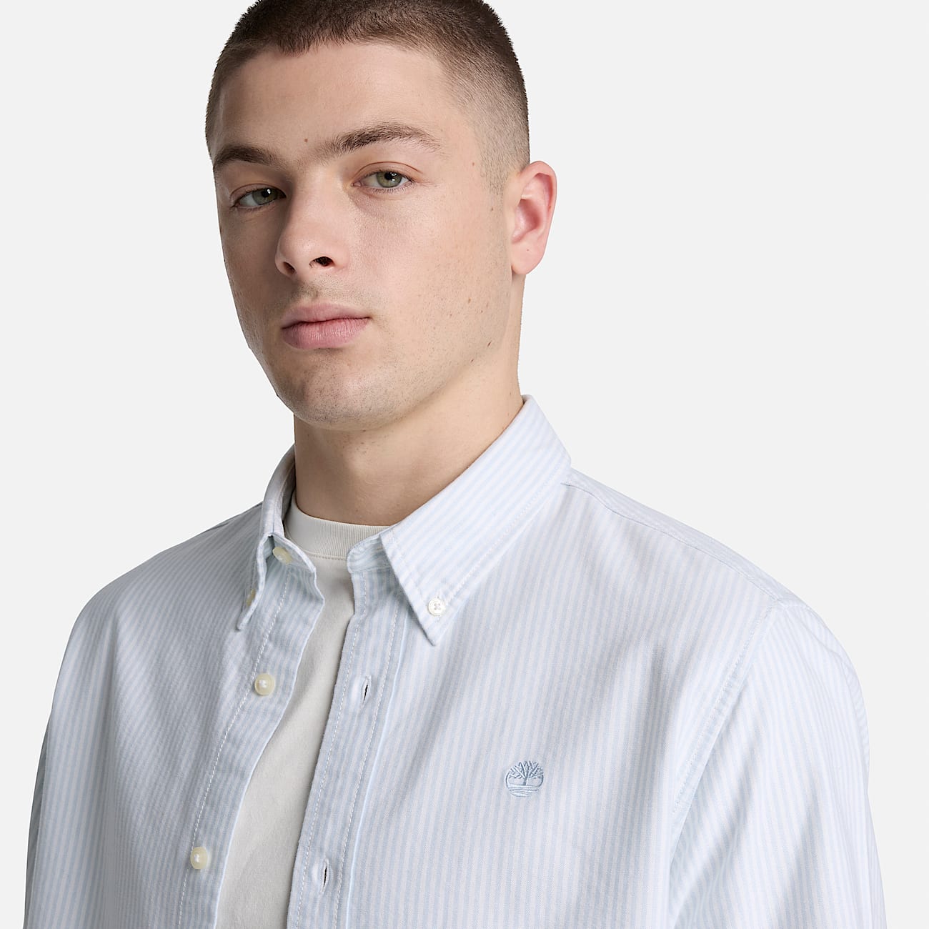 Chemise Oxford raye Lake Warner pour homme en bleu TBL bleu ALT3