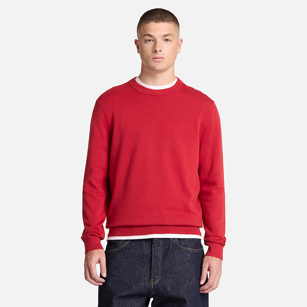 Williams River Cotton Crewneck Jumper for Men in Red TBL Red ALT1