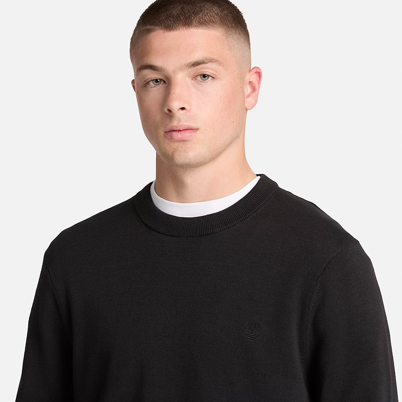 Williams River Cotton Crewneck Jumper for Men in Black TBL Black ALT3