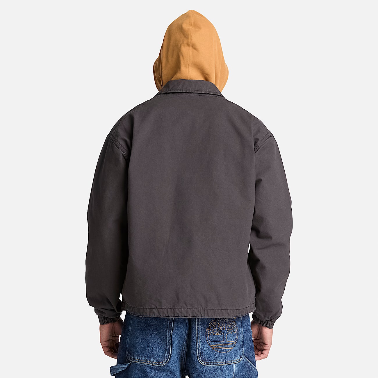 Strafford CanvasJacke fr Herren in Schwarz TBL Schwarz ALT8