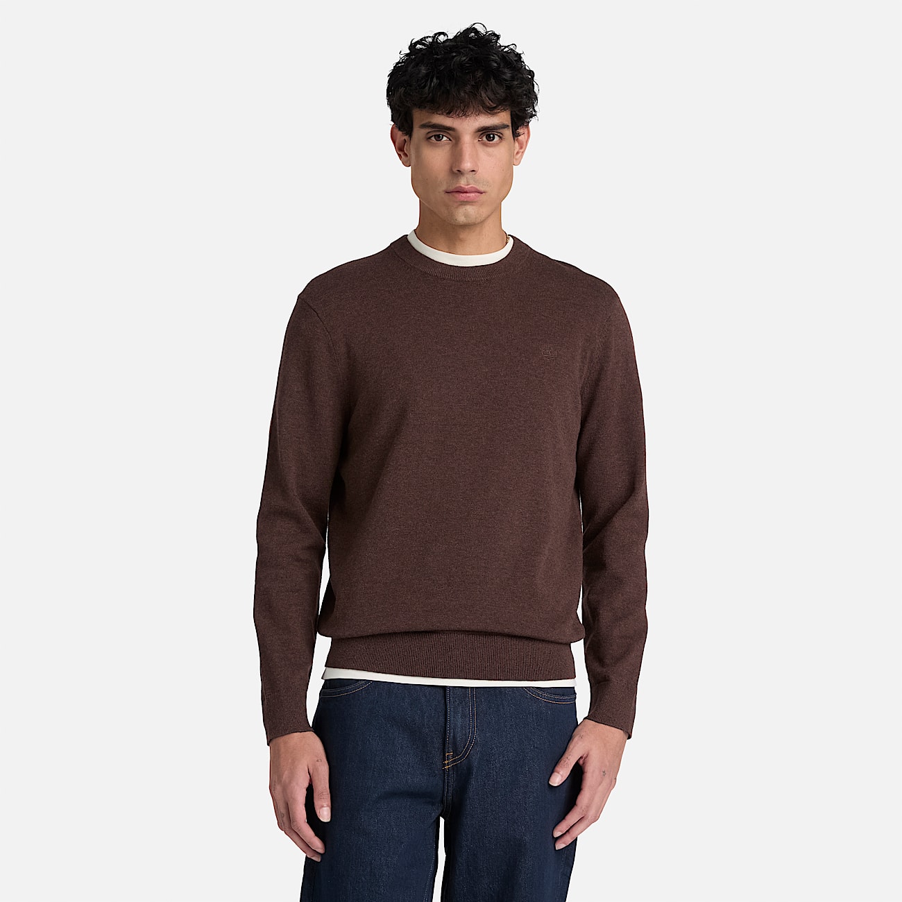 Oyster River Cotton Crewneck Jumper for Men in Dark Brown