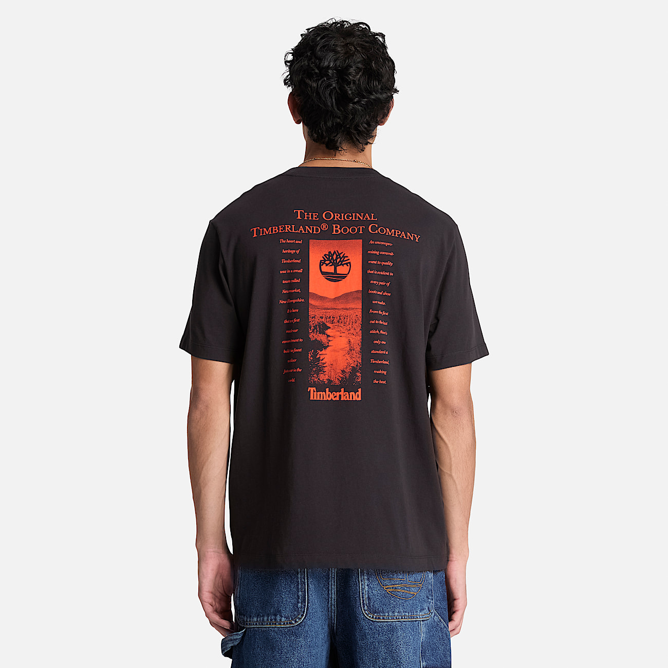New Hampshire Heritage Graphic TShirt for Men in Black TBL Black ALT8