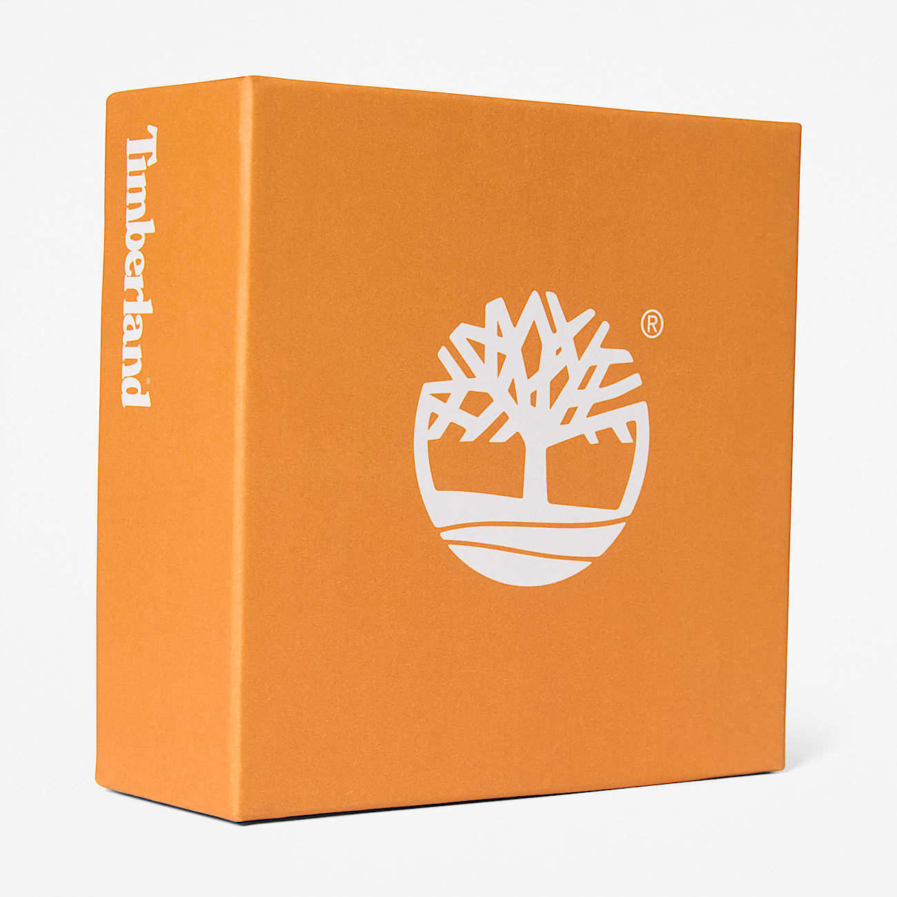 Errex Leren Riem voor heren in donkerbruin TBL bruin ALT2