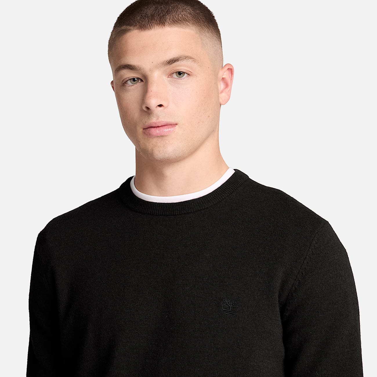 Cohas Brook Pullover mit Rundhalsausschnitt aus Merinowolle fr Herren in Schwarz TBL Schwarz ALT3