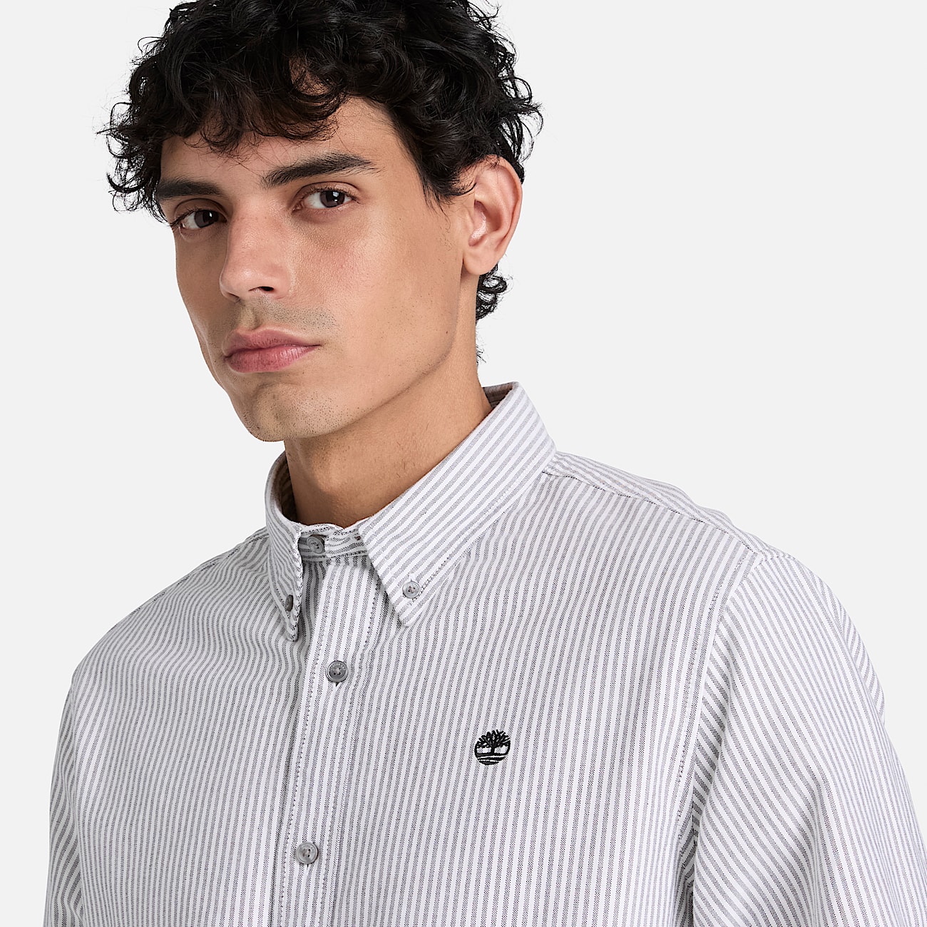 Chemise Oxford raye Lake Warner pour homme en noir TBL noir ALT3