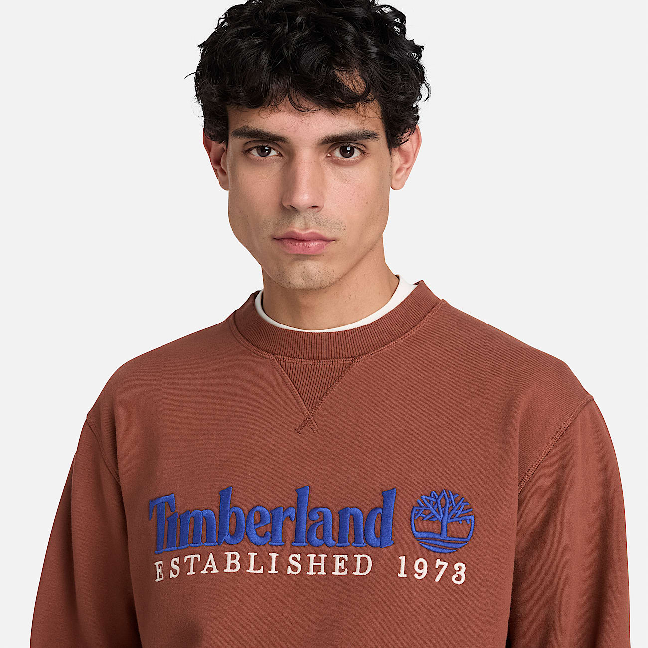 Established 1973 Embroidered Logo Crew Sweatshirt for Men in Brown TBL Brown ALT3