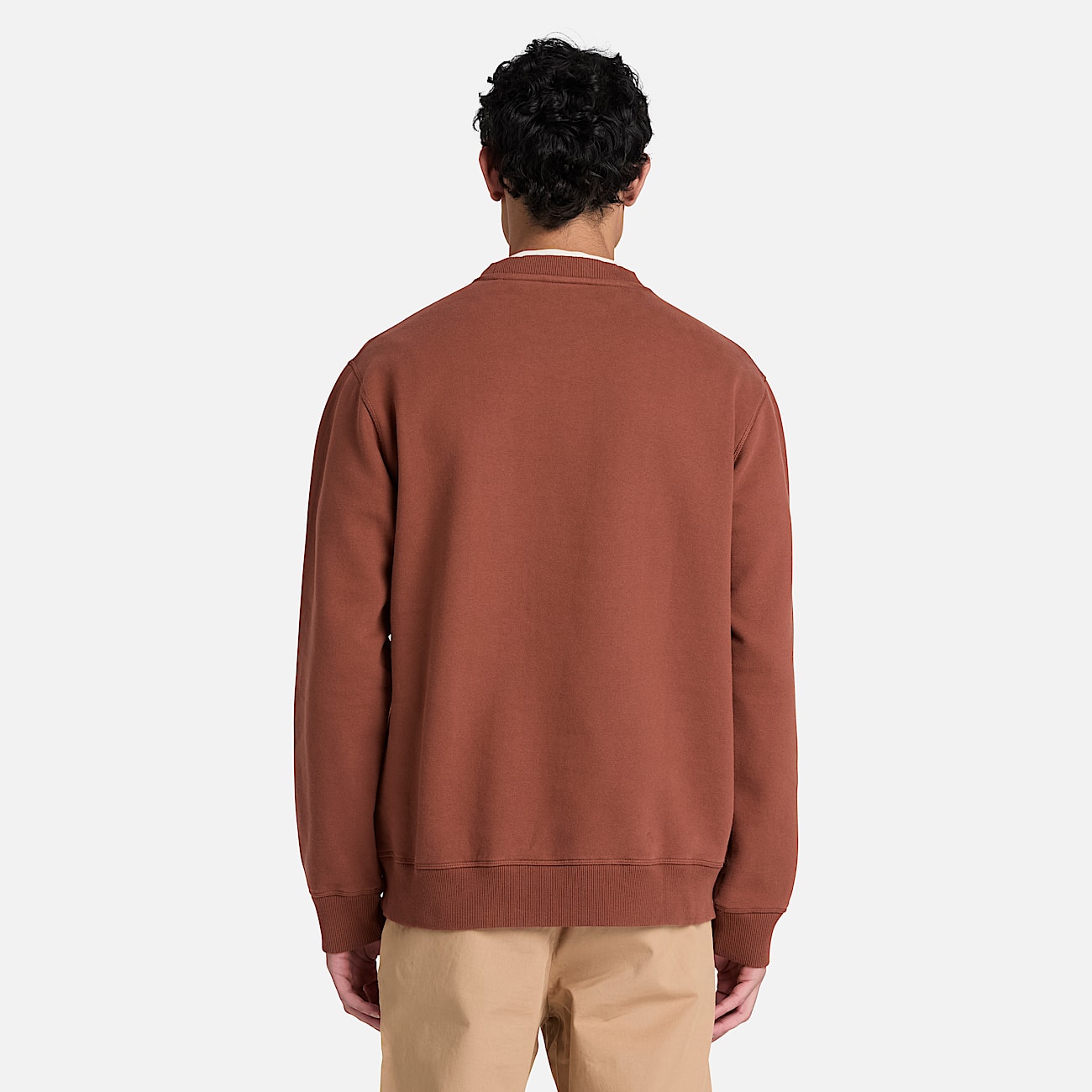 Established 1973 Embroidered Logo Crew Sweatshirt for Men in Brown TBL Brown ALT8