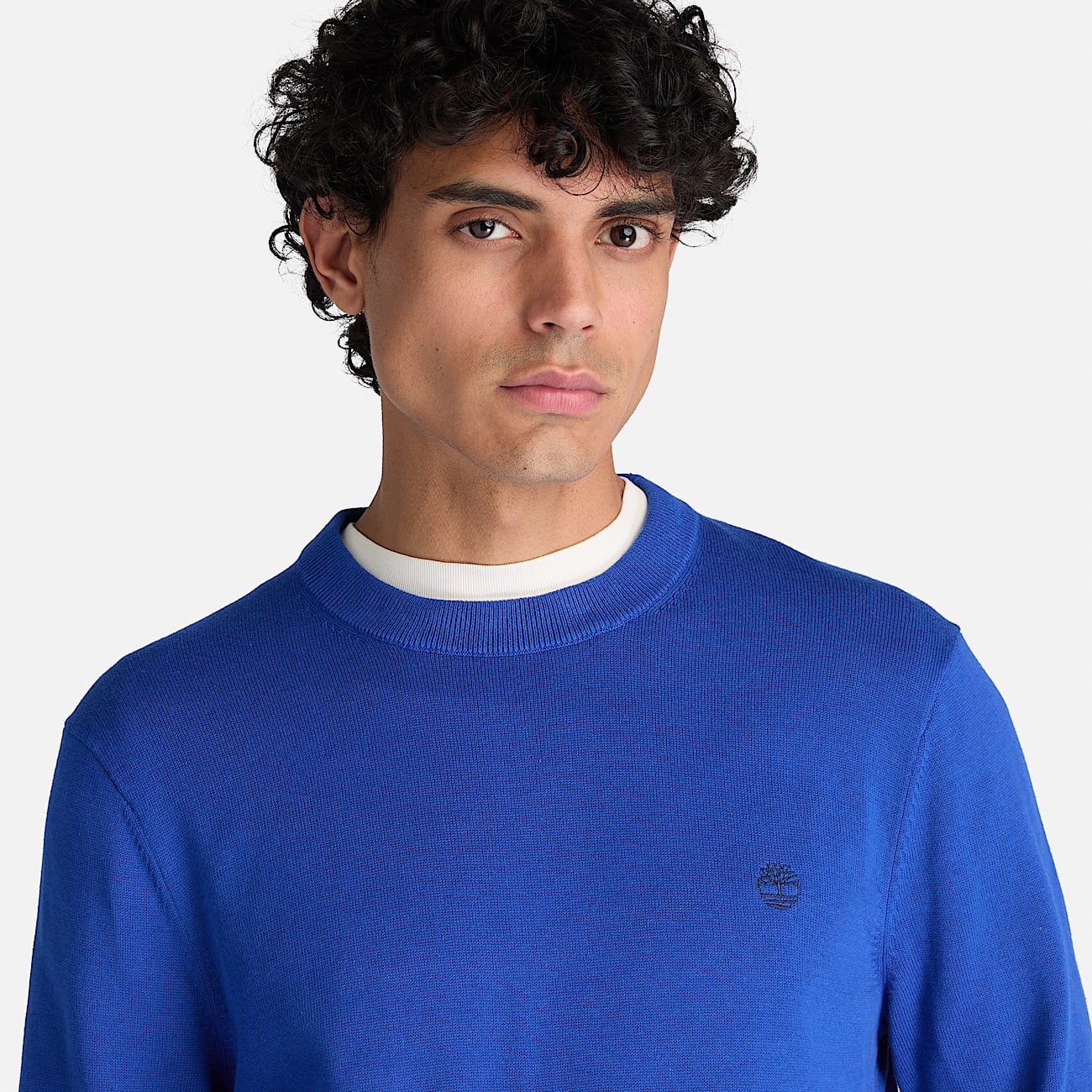 Pull en coton  col rond Williams River pour homme en bleu TBL bleu ALT3