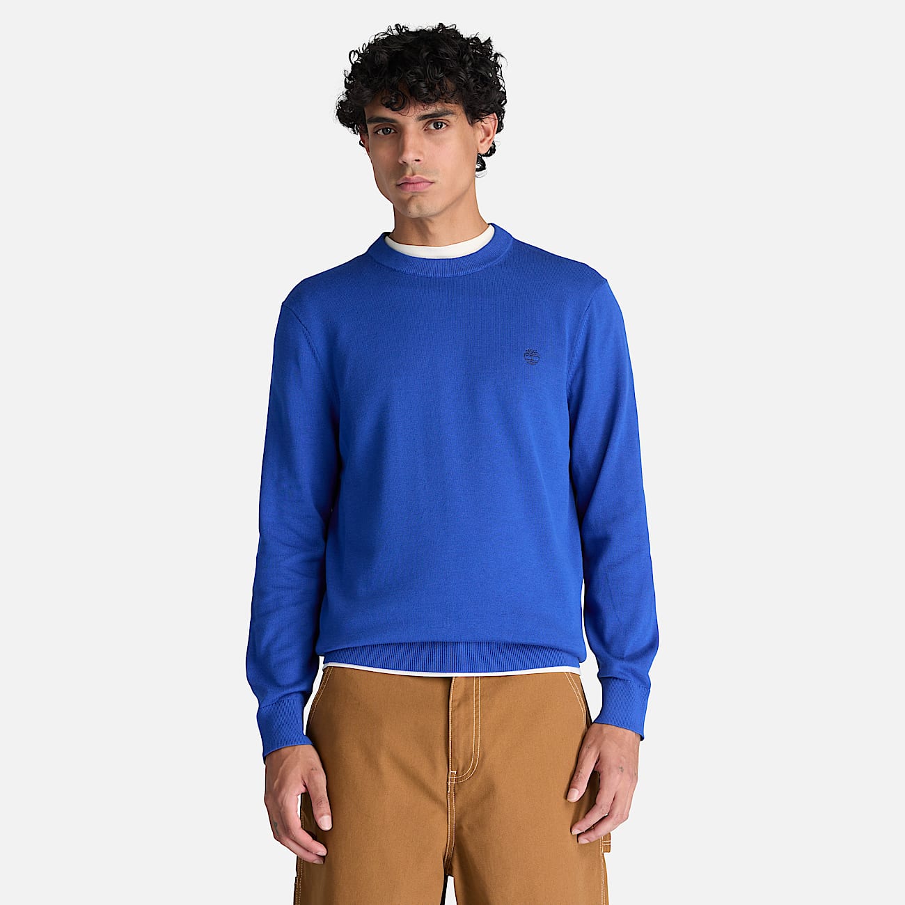 Pull en coton  col rond Williams River pour homme en bleu TBL bleu ALT1