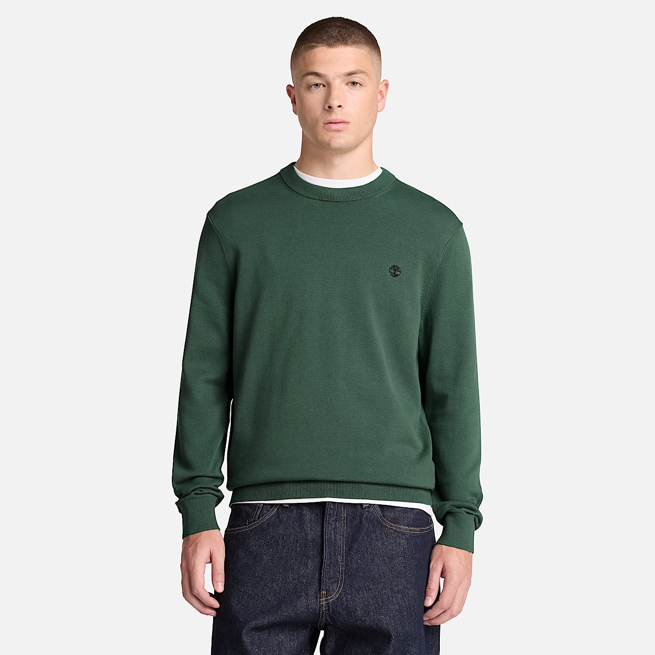 Williams River Cotton Crewneck Jumper for Men in Green TBL Green ALT1