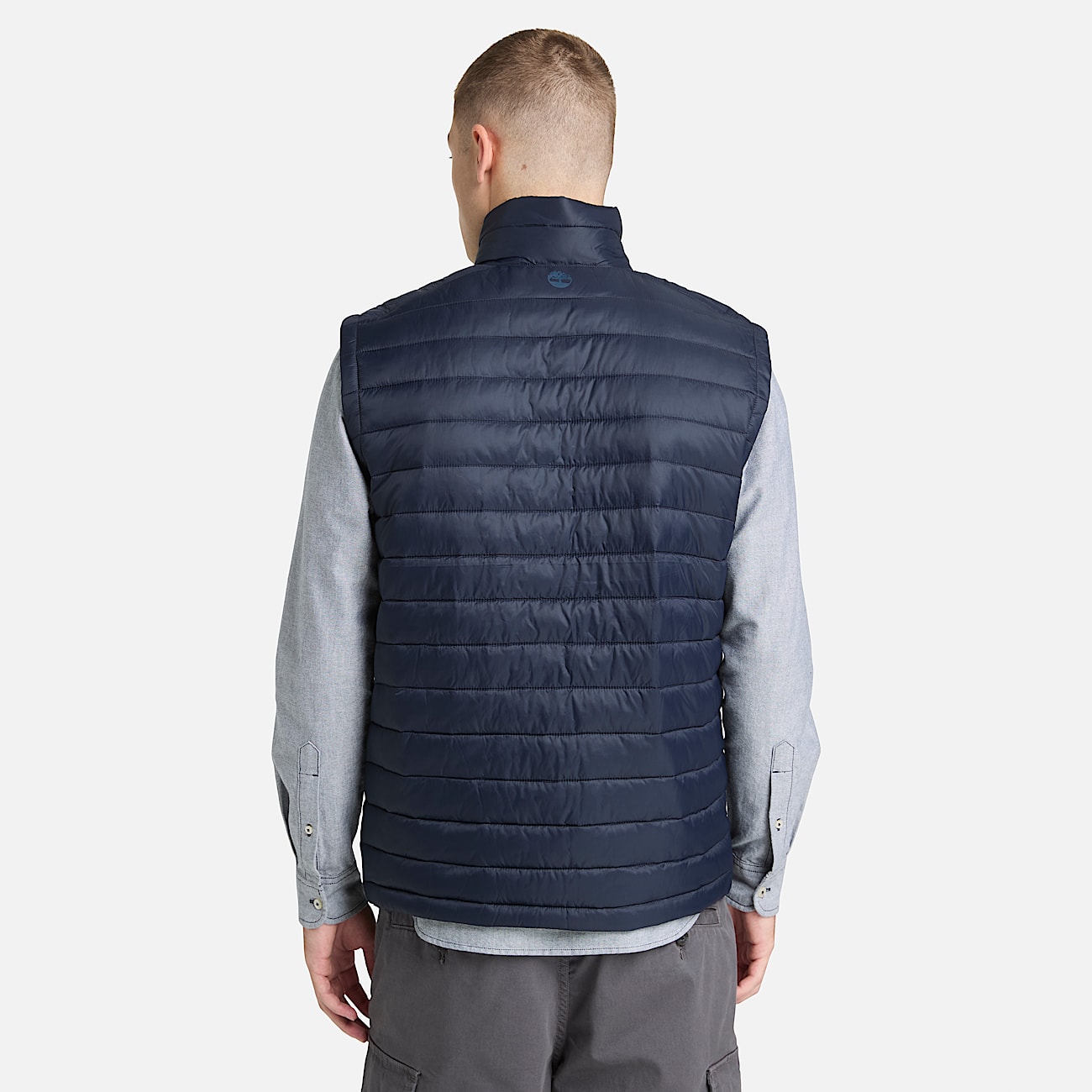 Axis Peak Durable WaterRepellent Vest for Men in Blue TBL Bl ALT8