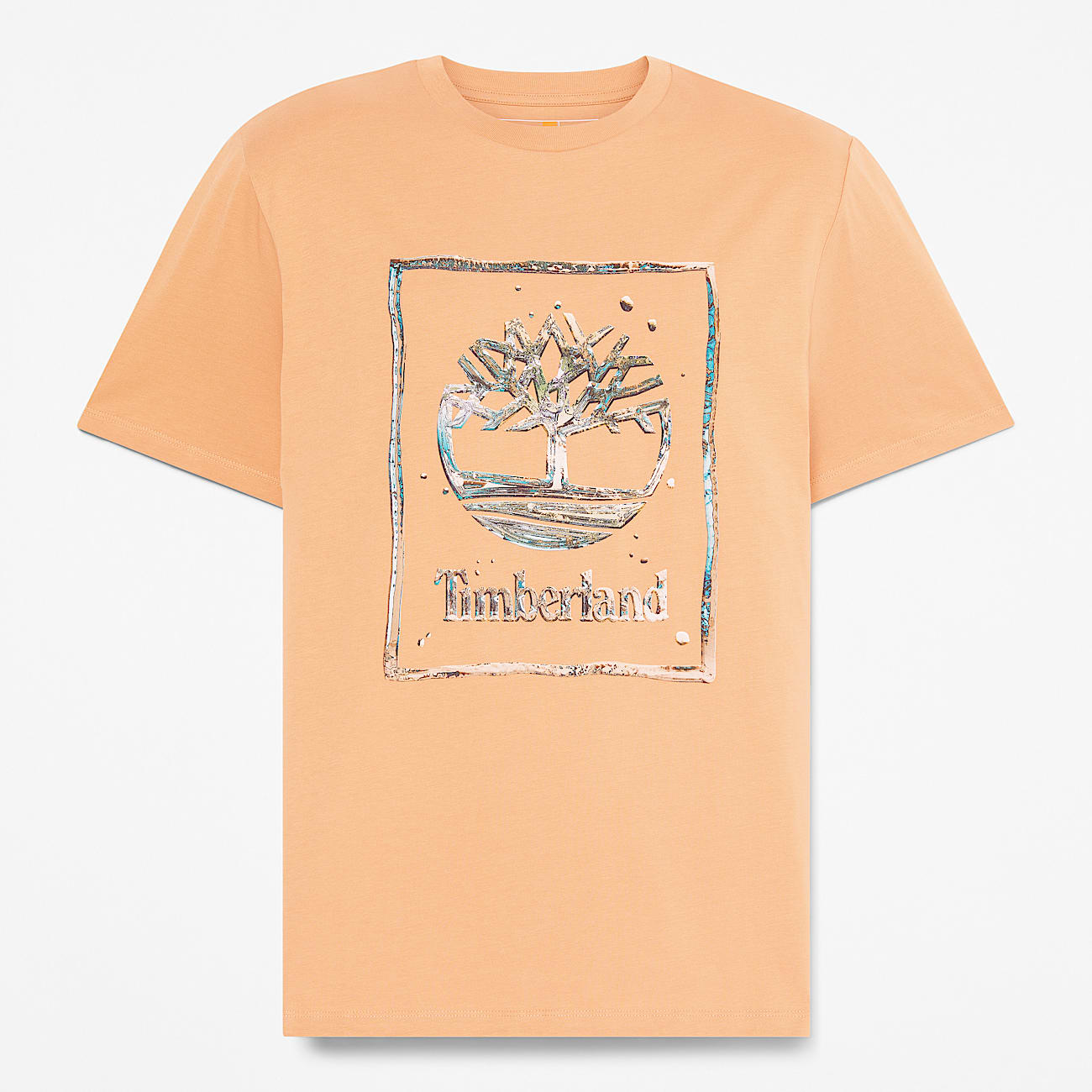 Tshirt a Maniche Corte con Logo Grafico Acqua da Uomo in beige TBL beige HERO