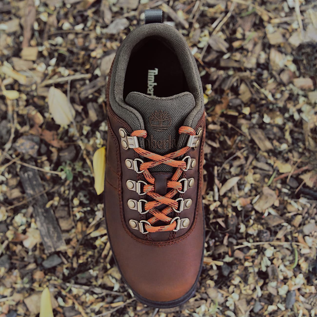 Bottine de randonne basse Euro Hiker pour femme en marron fonc TBL marron MKTG5