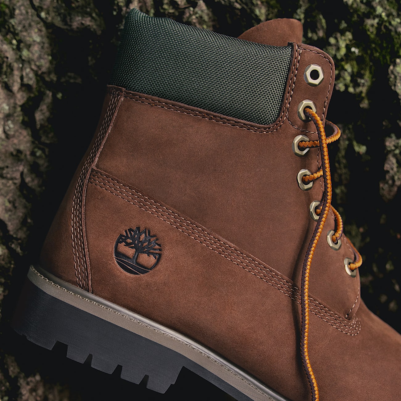 6Inch Boot impermable Timberland Premium pour femme en marron fonc TBL marron MKTG1