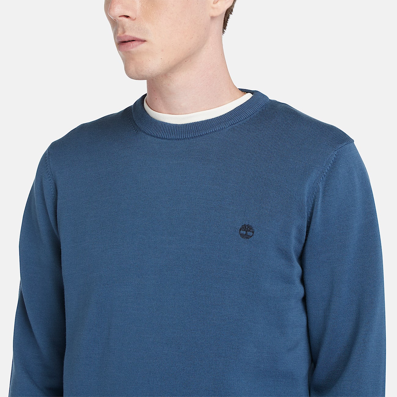 Williams River Cotton Yarn Dyed Jumper for Men in Blue