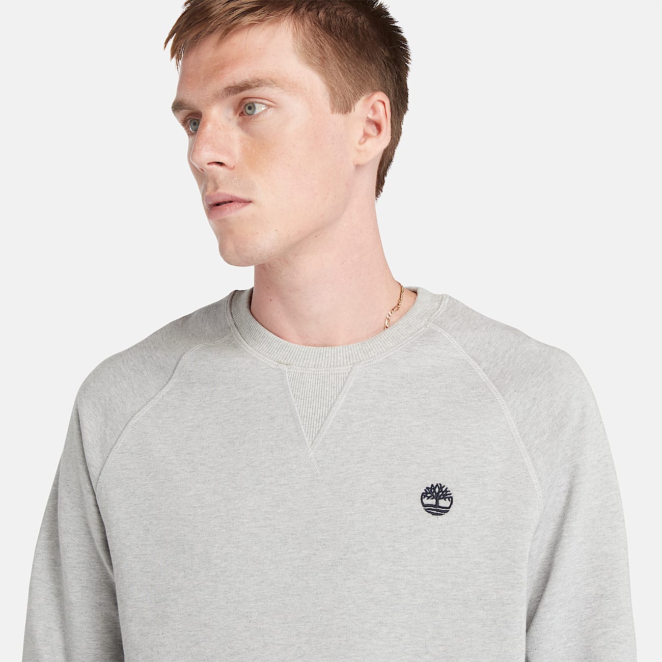 Exeter River Loopback Crewneck Sweatshirt for Men in Grey
