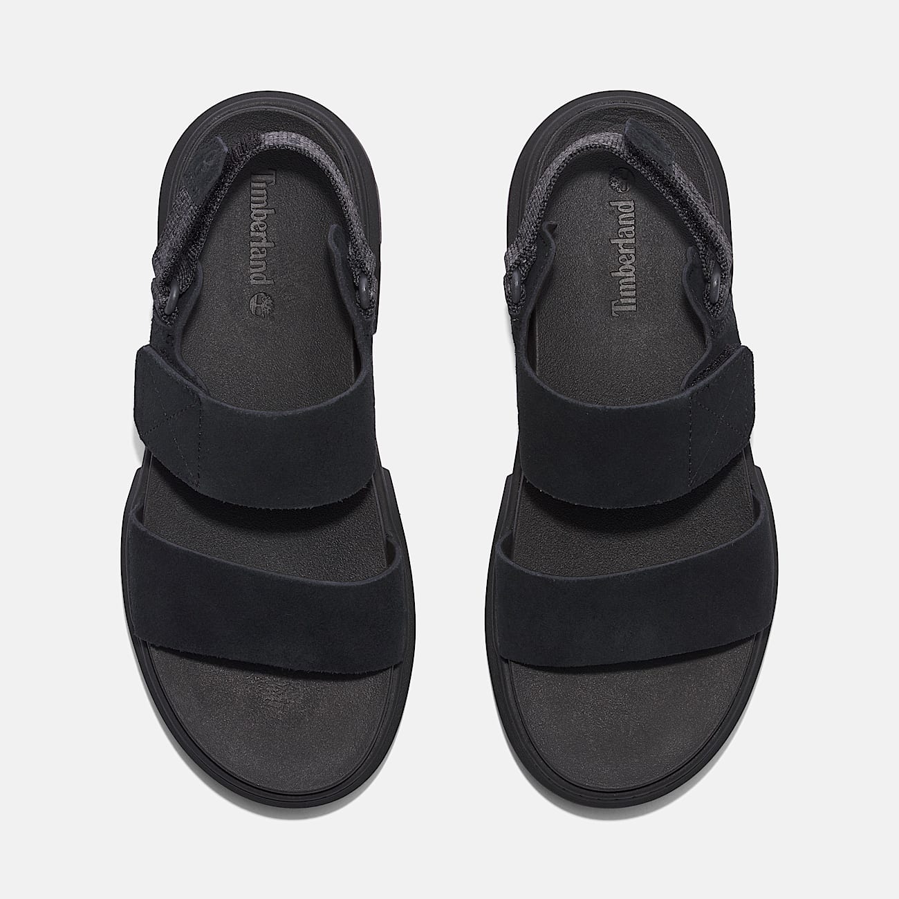 Greyfield Backstrap Sandal for Women in Black