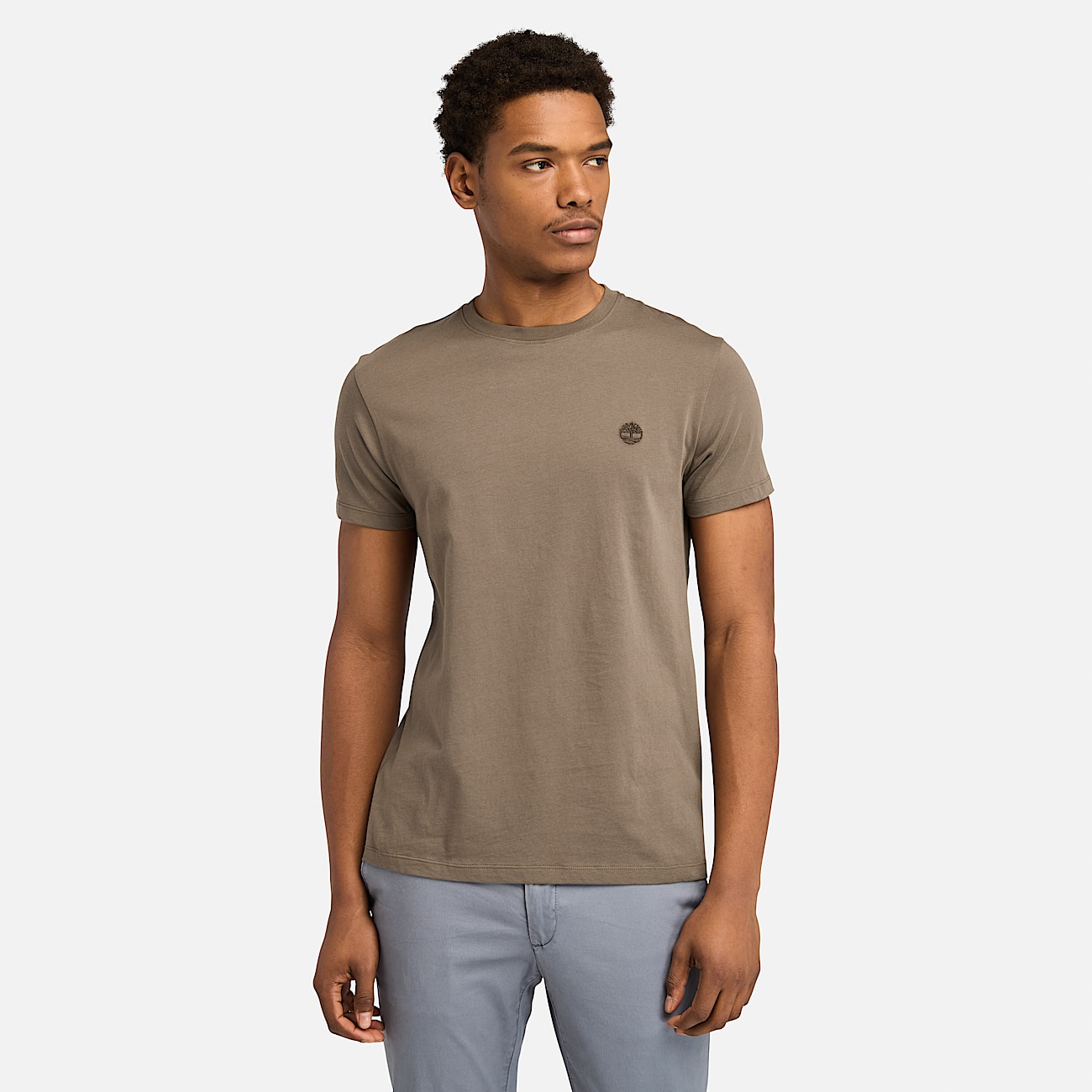 Camiseta de manga corta y corte entallado Oyster River para hombre en marrón - 1