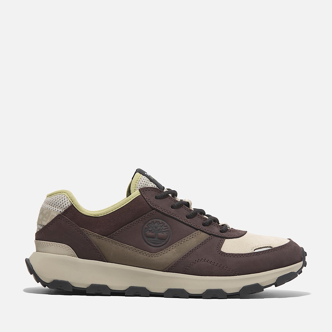 Sneaker Bassa Stringata Winsor Park da Uomo in marrone
