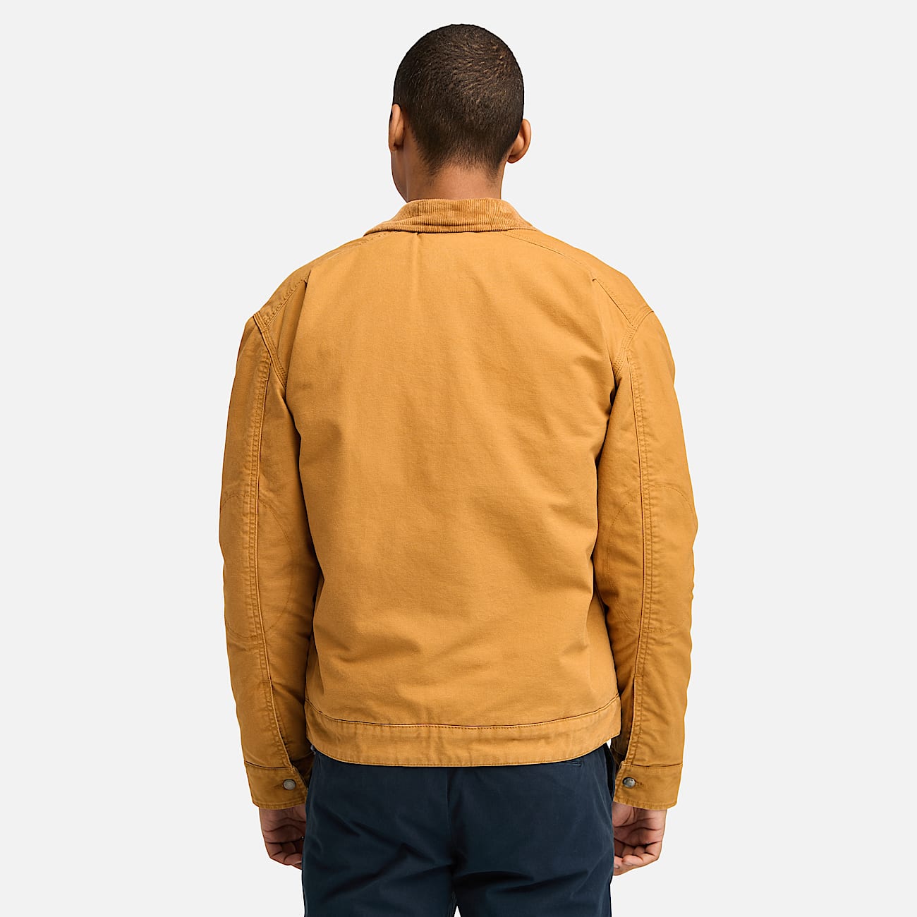 Strafford Washed Canvas Insulated Jacket for Men in Yellow