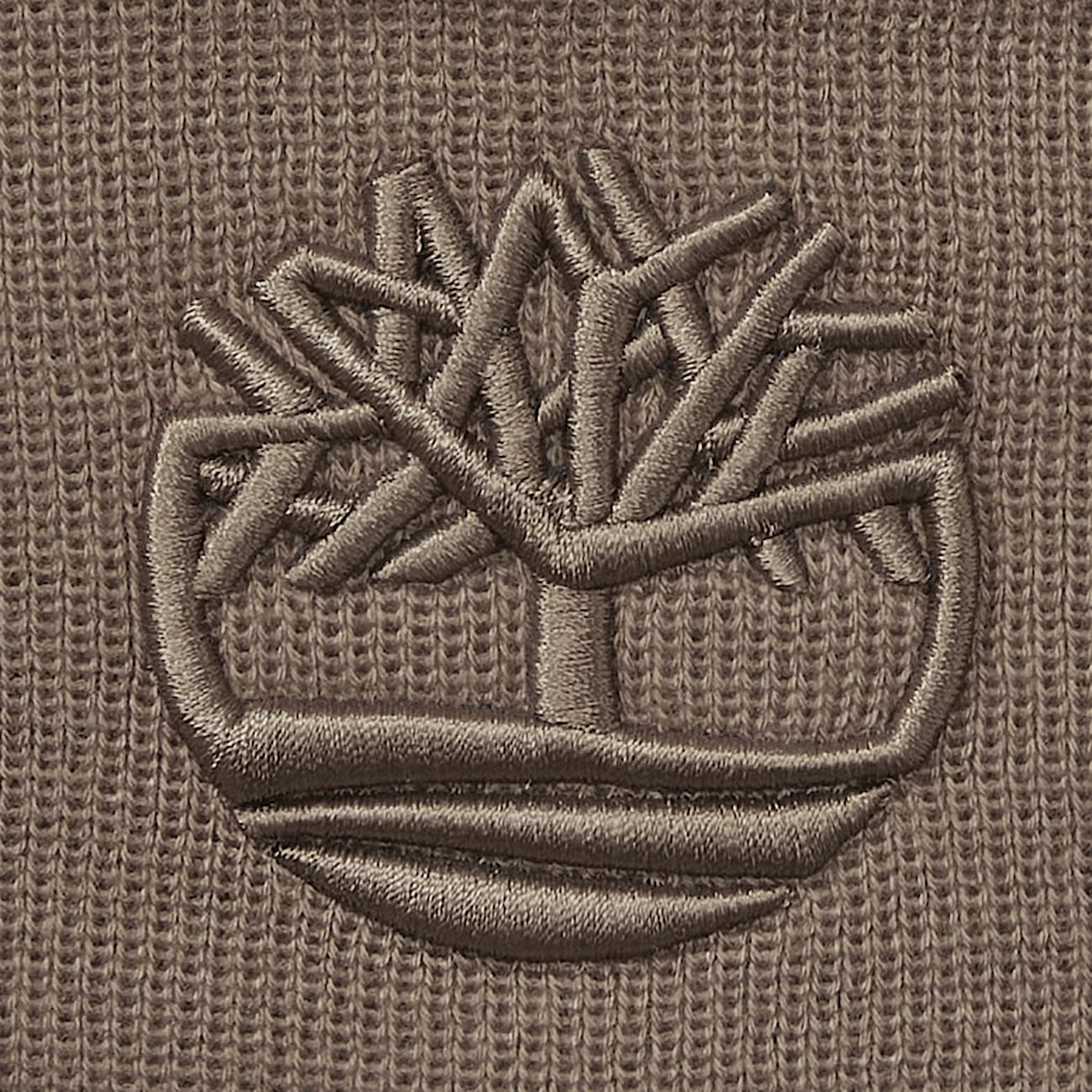 Tonal Embroidery Beanie for Men in Brown - 3
