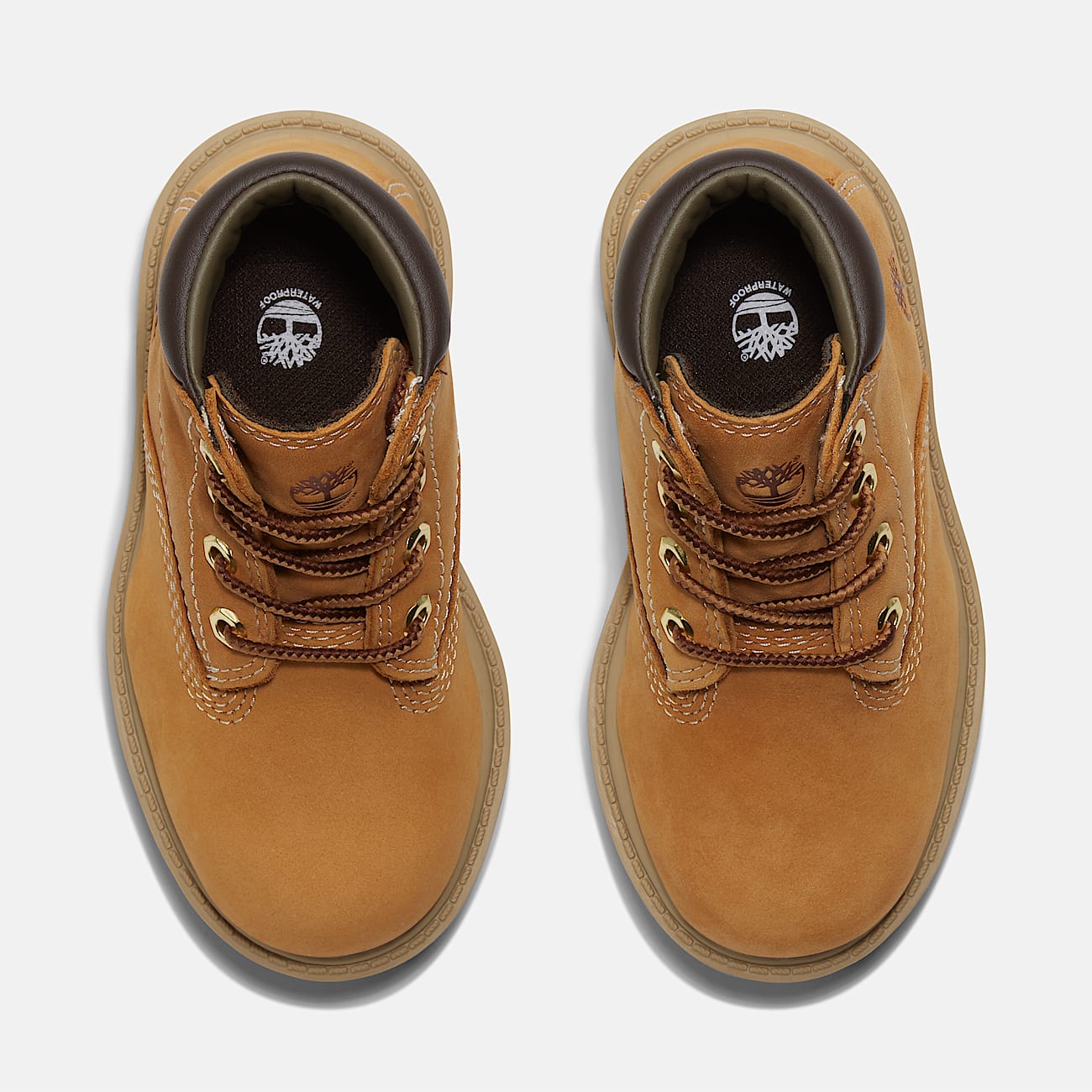 靴 Timberland ALBURN 6INWATERPROOF BOOT Men's Alburn 6-Inch Lace-Up Waterproof Boot - Timberland