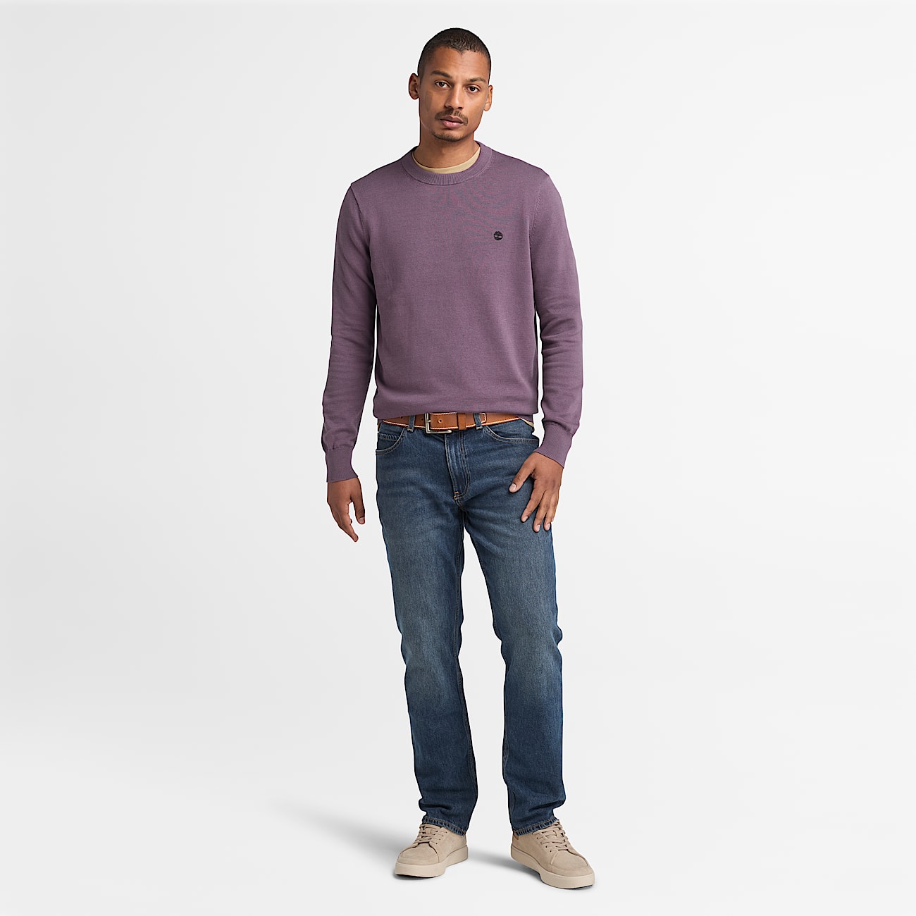 Williams River Cotton Yarn Dyed Jumper for Men in Purple - 2