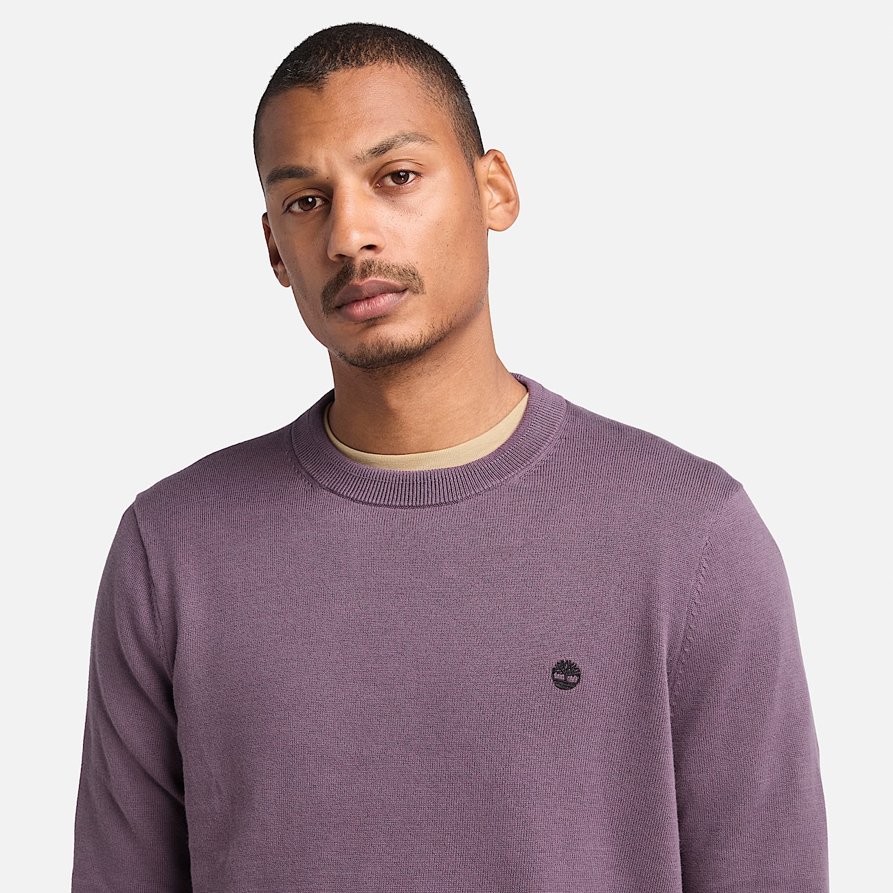 Williams River Cotton Yarn Dyed Jumper for Men in Purple - 3
