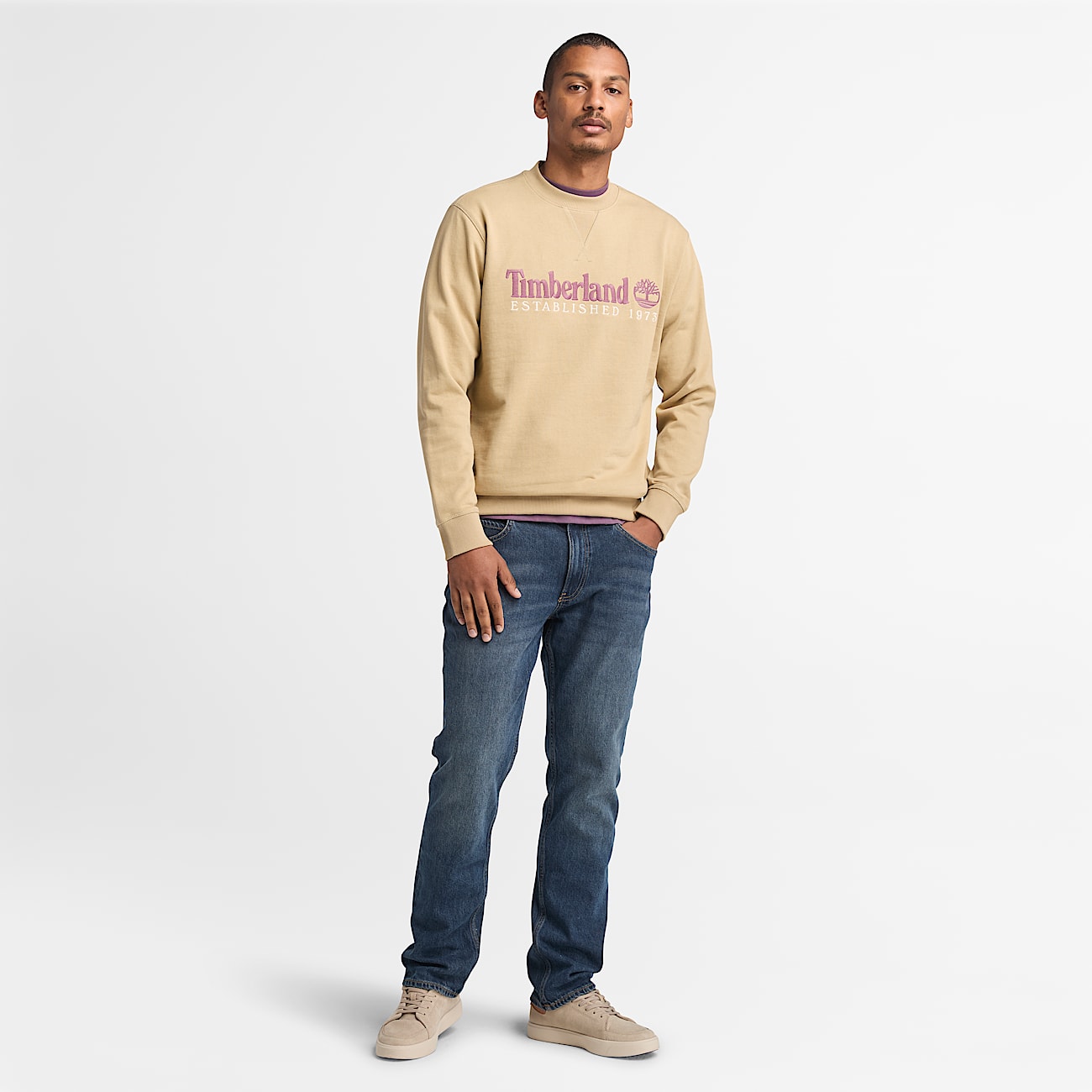 Established 1973 Embroidered Logo Crewneck Sweatshirt for Men in Beige - 2