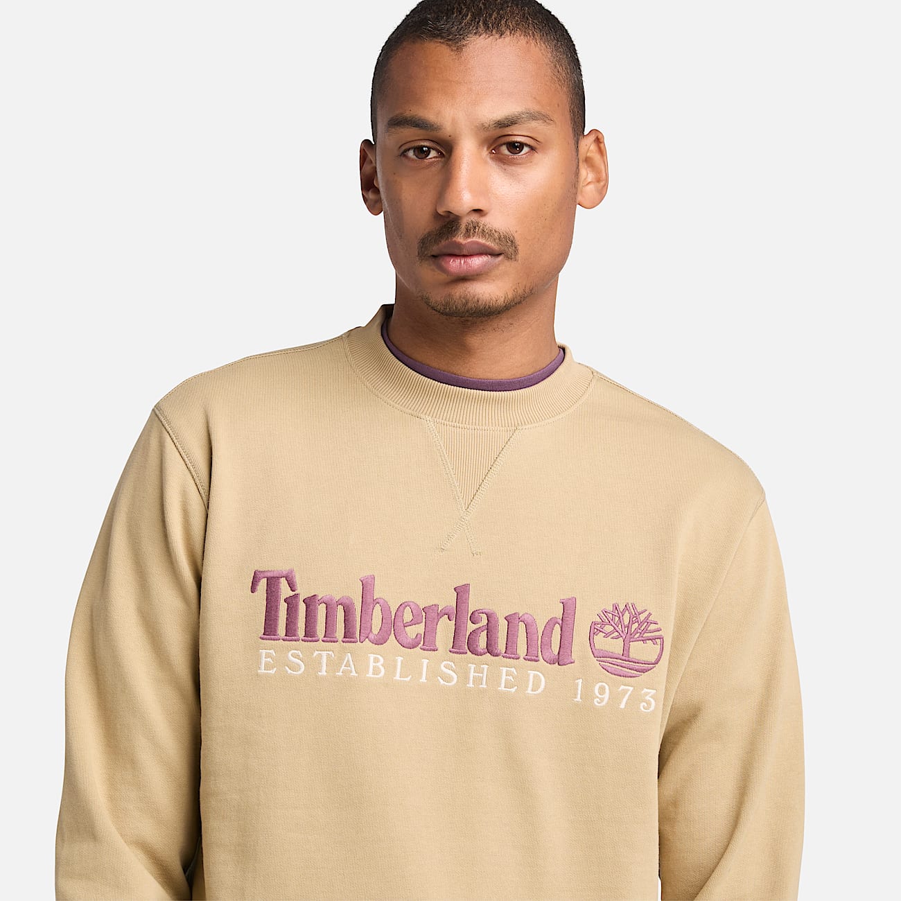 Established 1973 Embroidered Logo Crewneck Sweatshirt for Men in Beige - 3