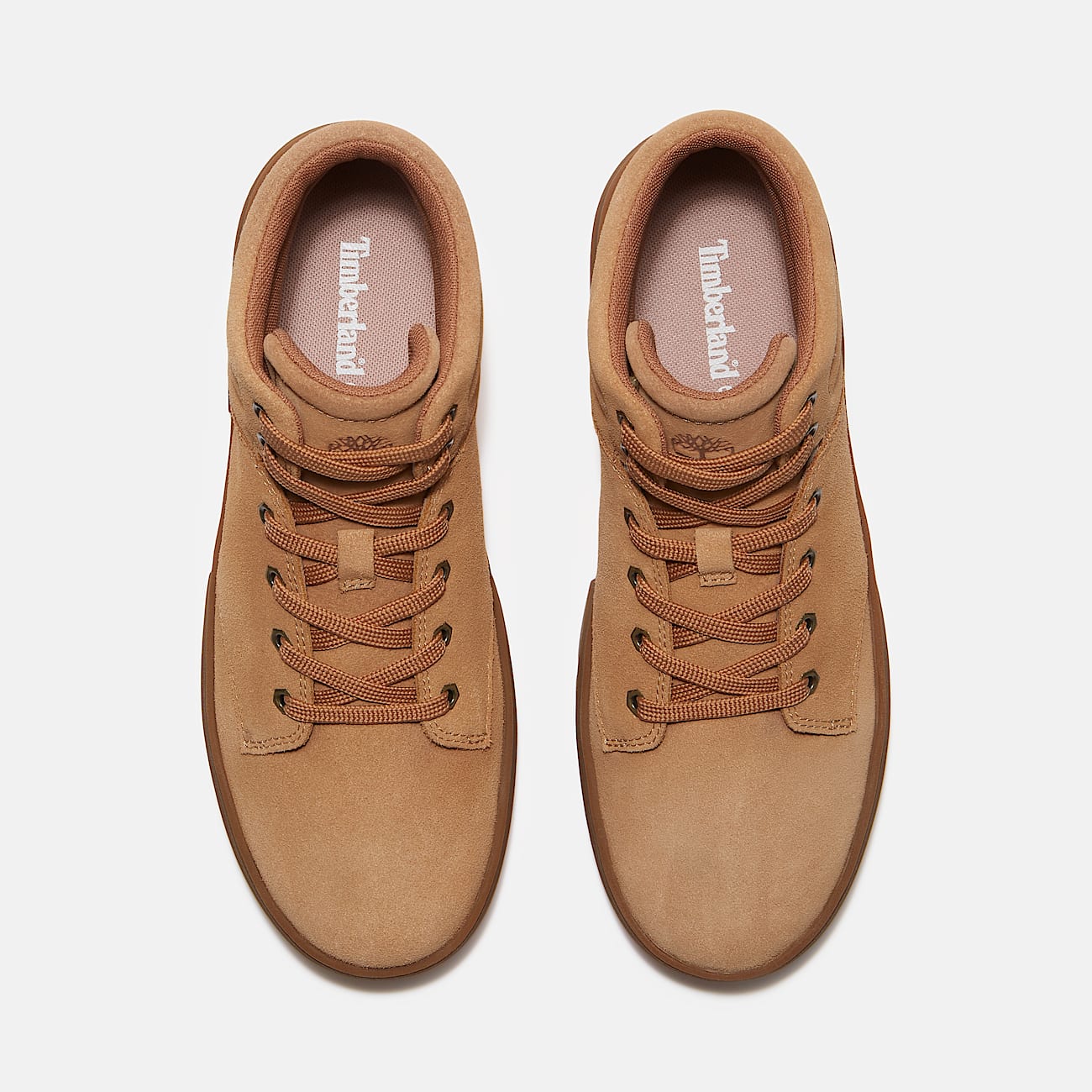 Laurel Court High Top Lace-Up Trainer for Women in Beige