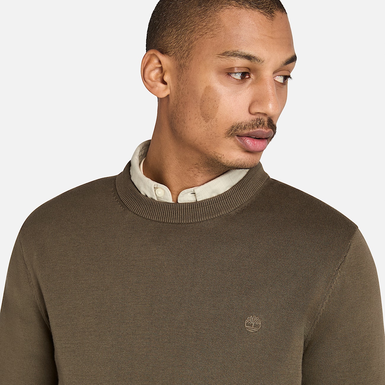 Pull en coton Williams River pour homme en vert - 3