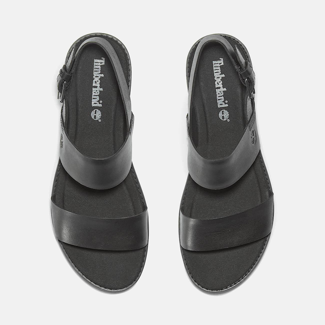 Chicago Riverside Two Strap Sandal for Women in Black