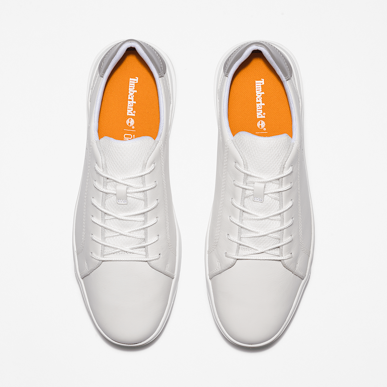 Timberland basse blanche best sale