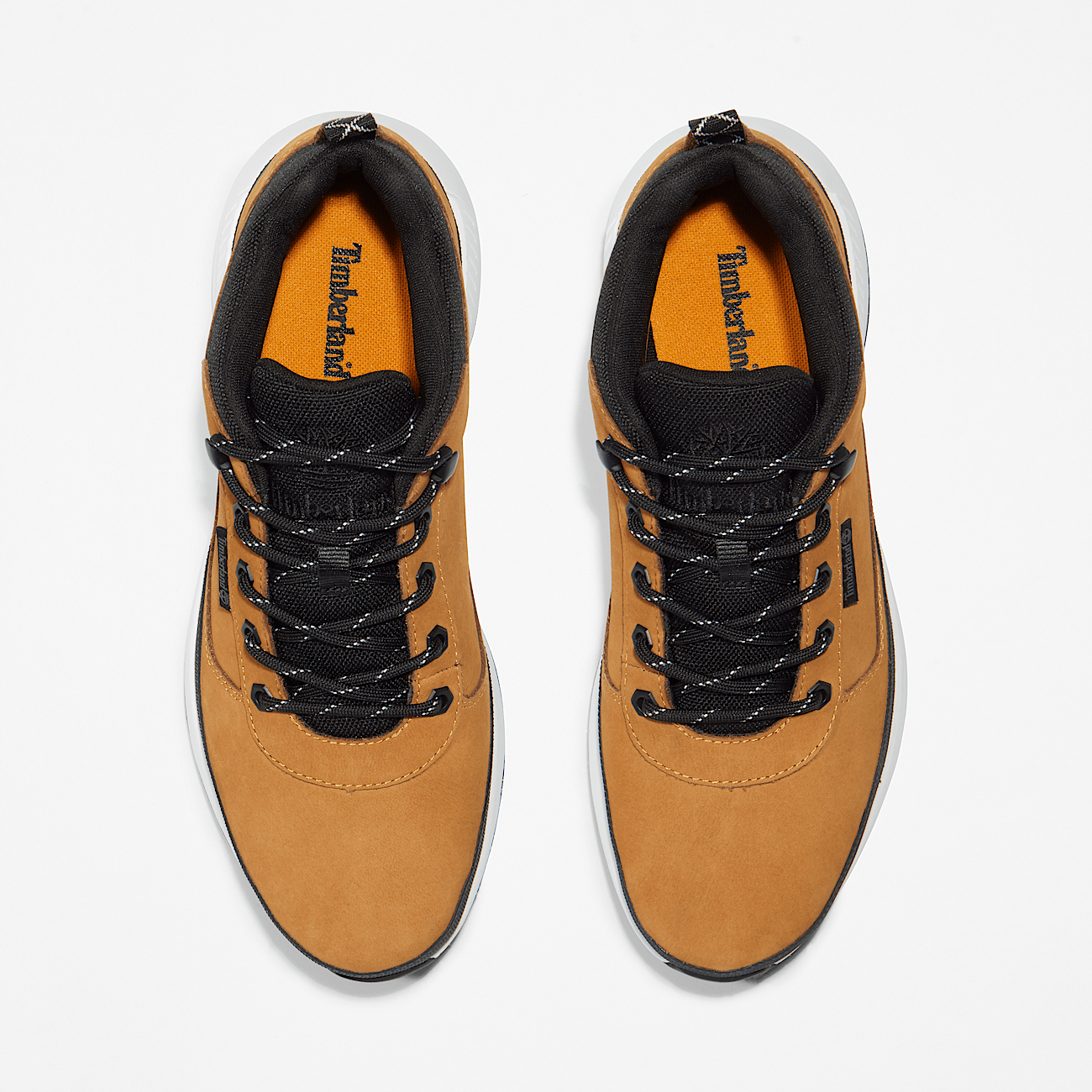 Timberland homme basket basse on sale