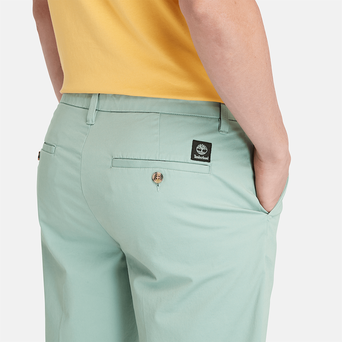 Stretch Twill Chino Shorts for Men in Pale Green