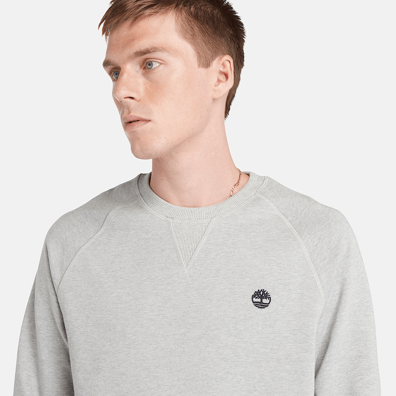 Exeter Loopback Crewneck Sweatshirt for Men in Grey