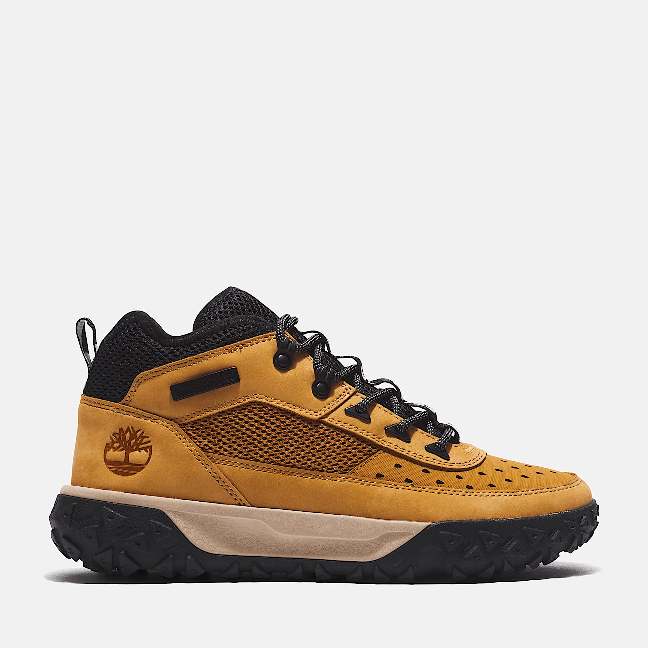 Timberland sneakers basse uomo hot sale