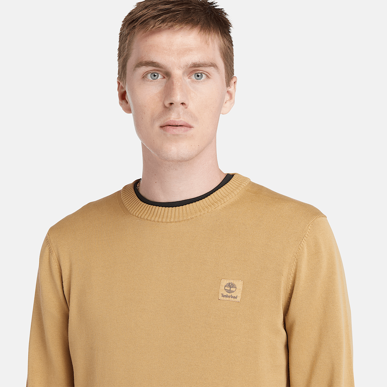 Garmentdyed Jumper for Men in Dark Yellow