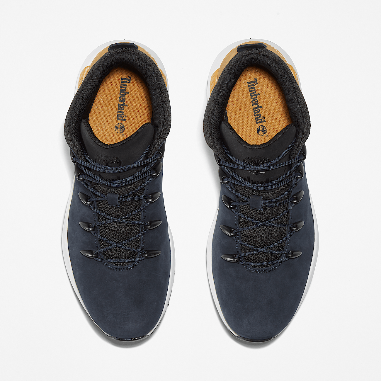 Basket timberland bleu clearance