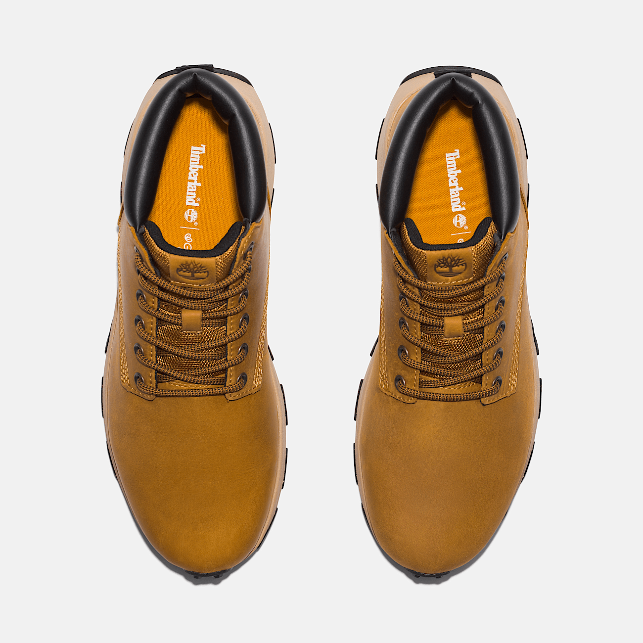 Winsor Park Mid Lace Up Trainer for Men in Yellow