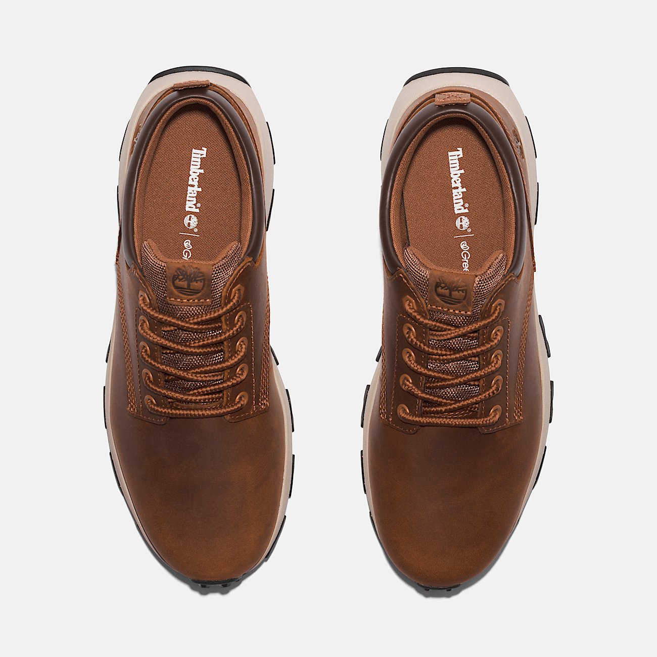 Basket basse a lacets Winsor Park pour homme en marron clair
