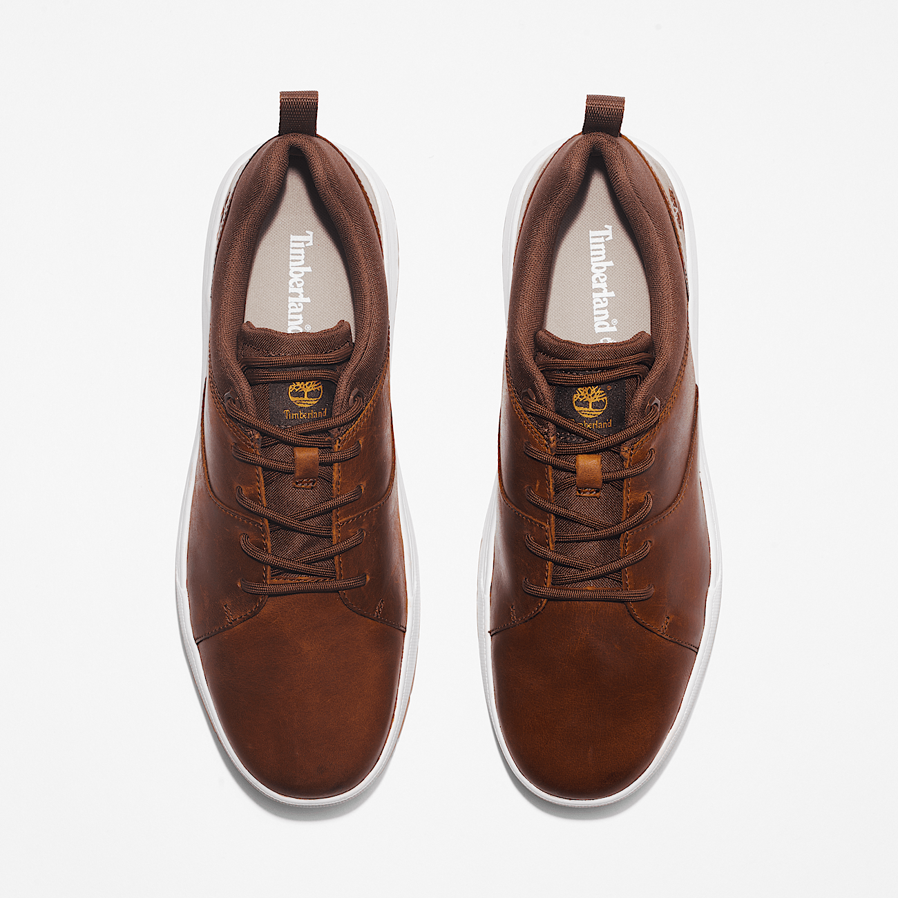 Basket basse timberland homme hot sale