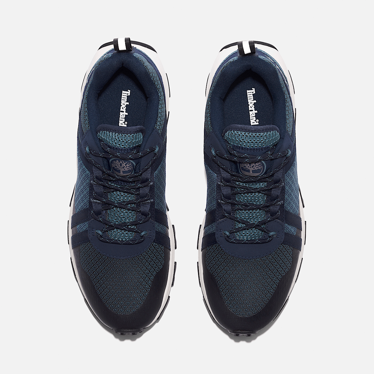 Timberland basse bleu homme best sale