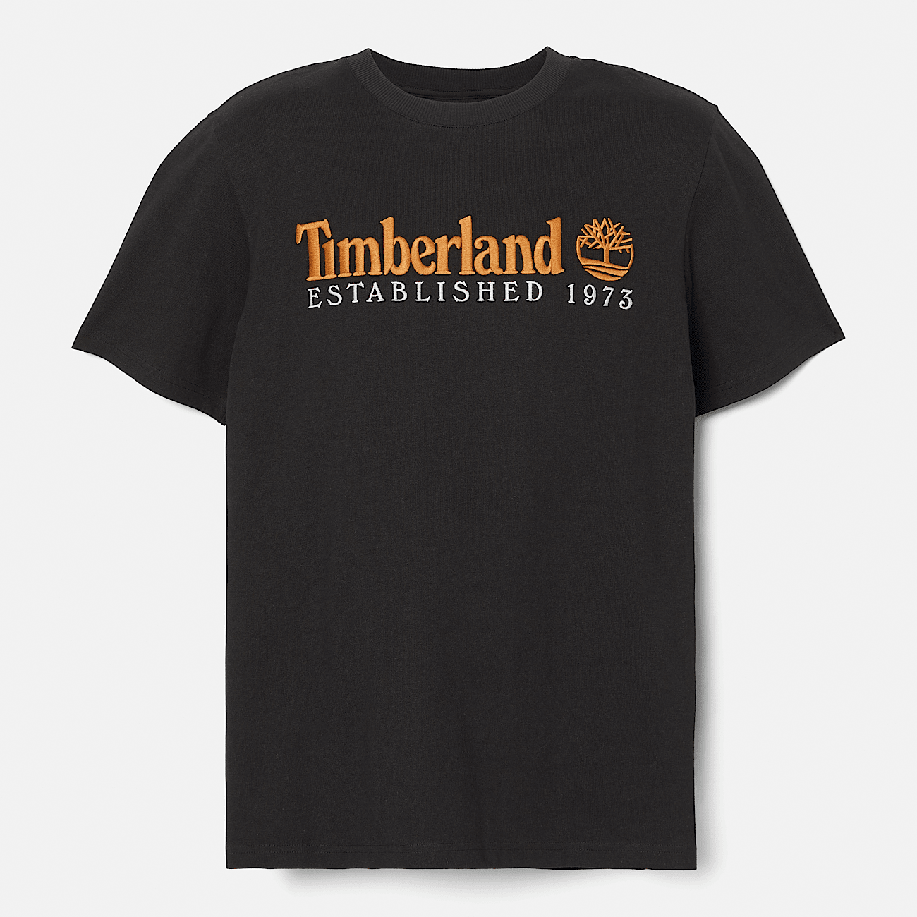 Embroidered Established 1973 T Shirt for Men in Black