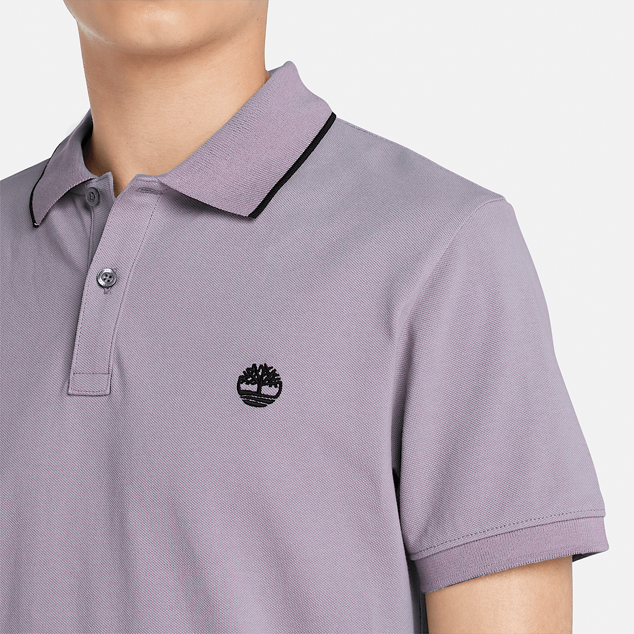 Polo con Colletto Stampato Millers River da Uomo in viola