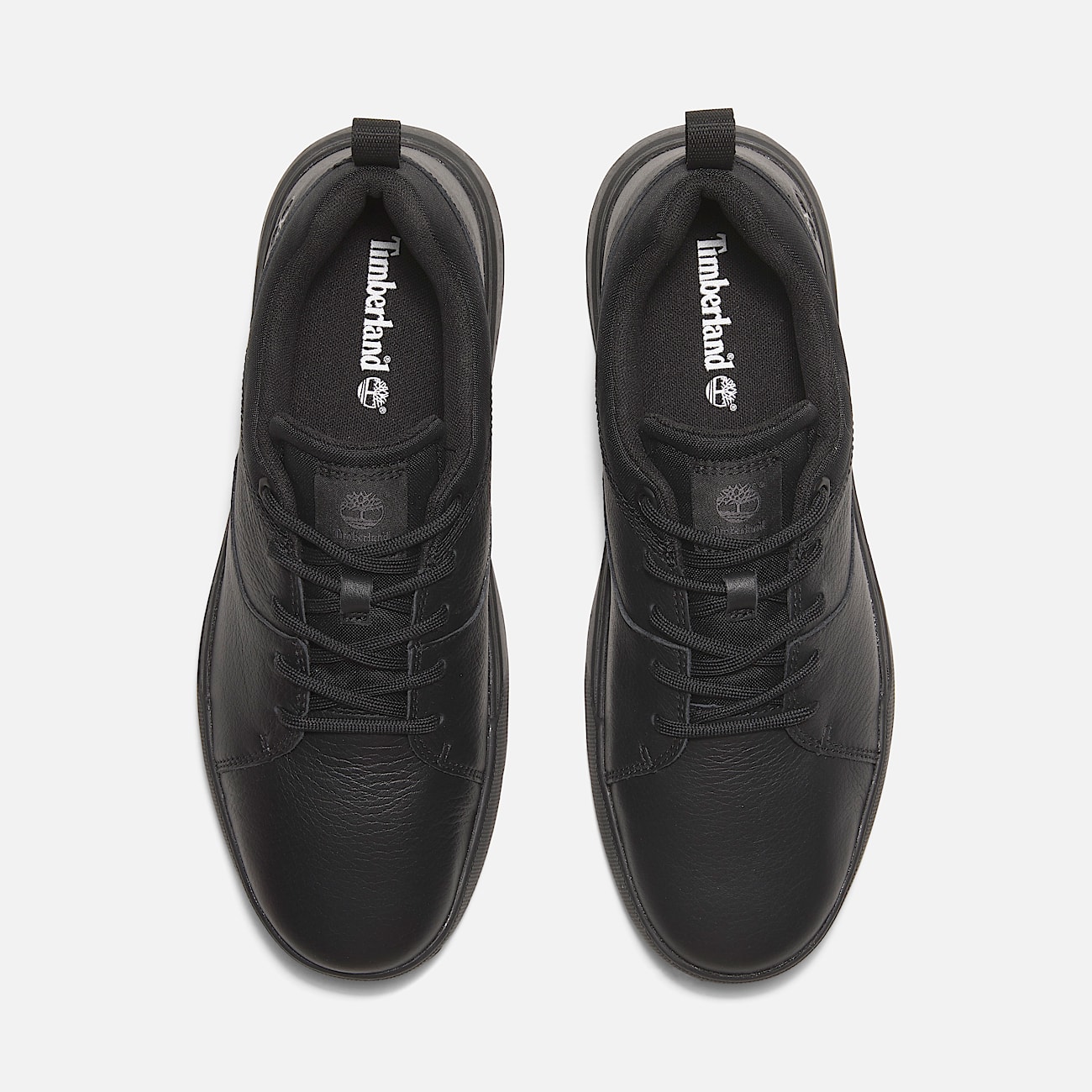 Basket basse a lacets Maple Grove pour homme en noir